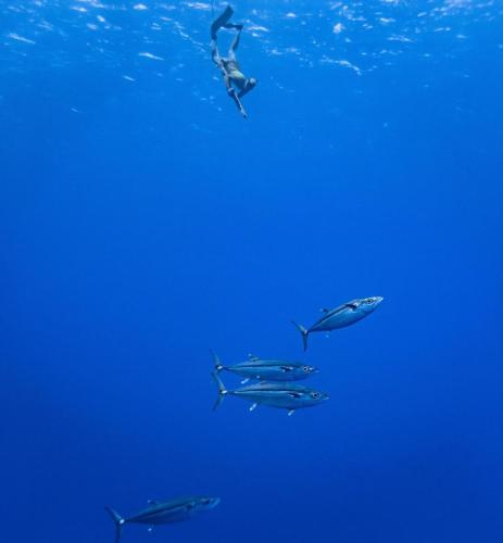 PESCADOR-